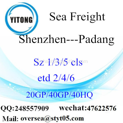 Fret maritime de Port de Shenzhen expédition à Padang